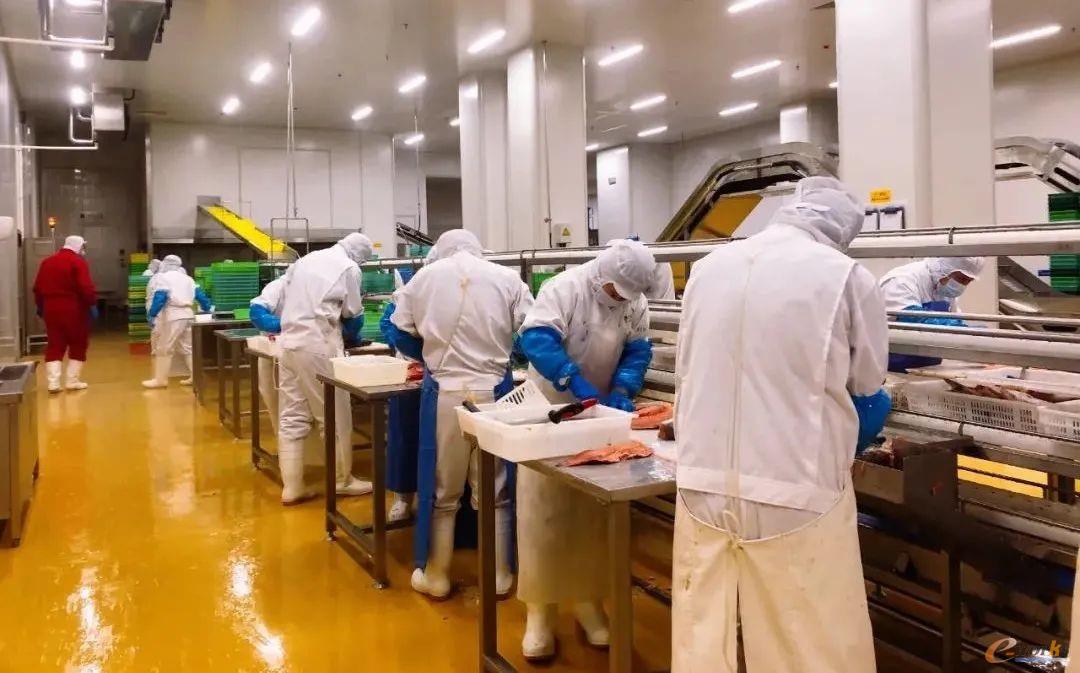 华为云联手瑞驰集团 打造海洋食品智能产业基地园区的创新实践